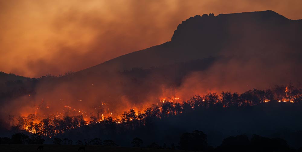 Cambio climático, incendios